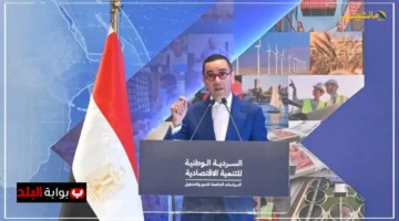 خطة جديدة لتعزيز الاقتصاد.. وزير الاستثمار يطلق السردية الوطنية لدفع عجلة التنمية 1